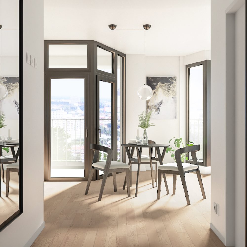 Ap A7 Living without glass wall (different angle)